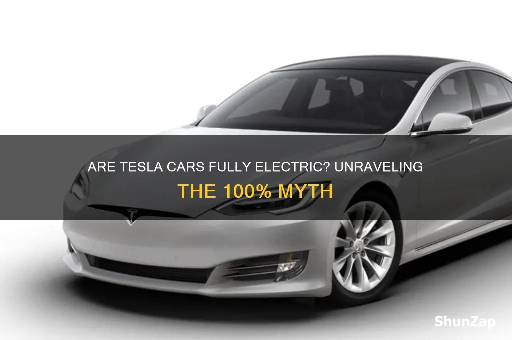are tesla cars 100 percent electrical
