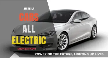 Are Tesla Cars All Electric? Unveiling the Truth Behind the Brand