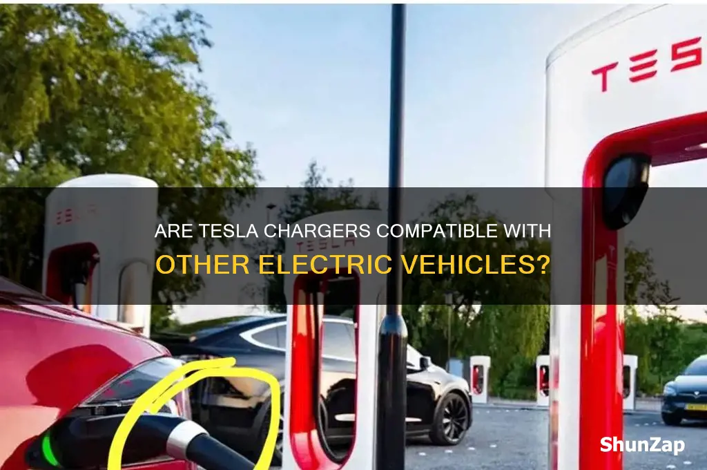 are tesla chargers the same as other electric cars