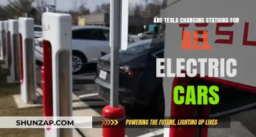 Can All Electric Cars Use Tesla Charging Stations? A Comprehensive Guide