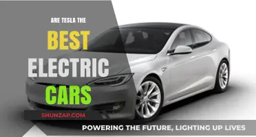 Are Tesla Vehicles the Ultimate Choice in Electric Cars?