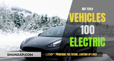 Unveiling Tesla's Electric Power: Fact or Fiction?