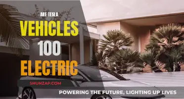 Electric Cars: Are Tesla Vehicles Purely Electric?
