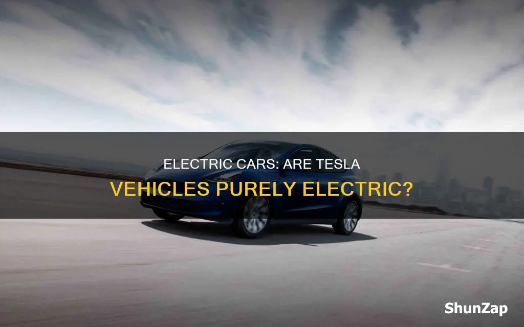 are tesla vehicles 100 electric