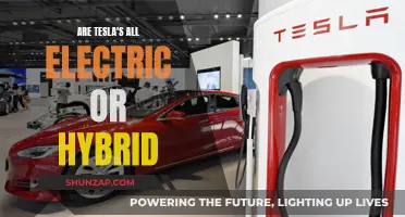 Electric vs Hybrid: Tesla's All-Electric Revolution