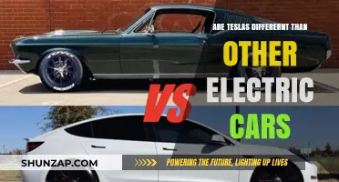 Are Teslas Truly Unique Among Electric Vehicles? A Comparative Analysis