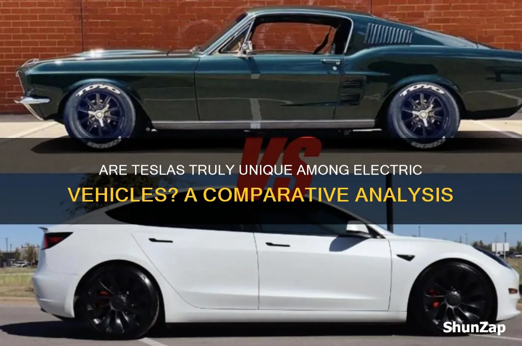 are teslas differernt than other electric cars