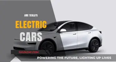 Are Tesla's Electric Cars Revolutionizing the Automotive Industry?