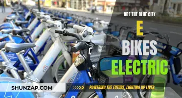 Blue City E-Bikes: Electric Revolution on Two Wheels