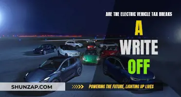 Electric Vehicle Tax Breaks: Write-Off or Worthless?