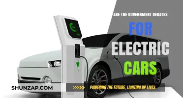 Government Rebates for Electric Cars: Are They Worth It?