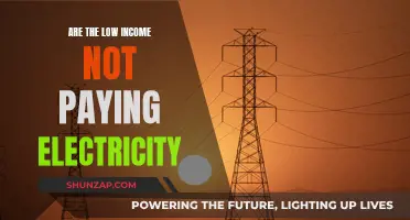 Low-Income Electricity Crisis: Who's Paying the Price?