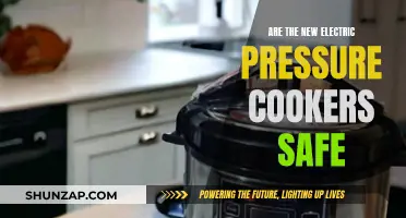 Electric Pressure Cookers: Safe or Hazardous?