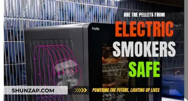 Are Pellets from Electric Smokers Safe to Consume?