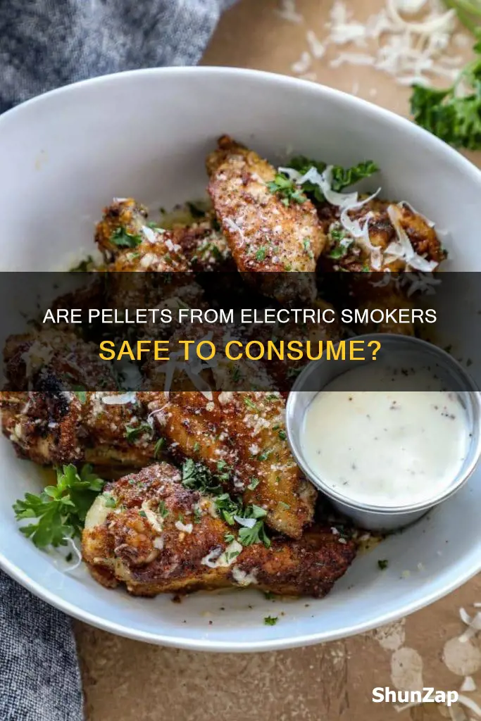 are the pellets from electric smokers safe