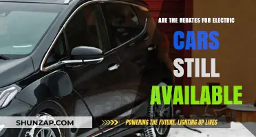 Electric Car Rebates: Are They Still Available in 2023?
