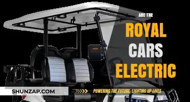 Are Royal Cars Going Electric? Exploring the Monarchy's Green Transition