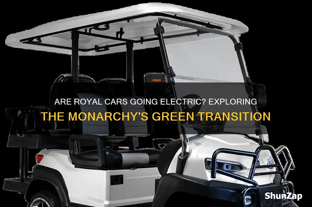are the royal cars electric