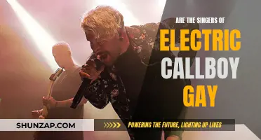 Electric Callboy Singers: Gay or Straight?
