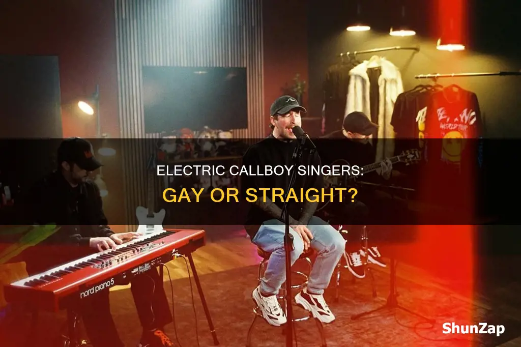 are the singers of electric callboy gay