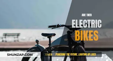 Electric Bikes: The Future of Green Transportation