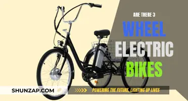 Electric Three-Wheel Bikes: The Future of Eco-Friendly Commuting?