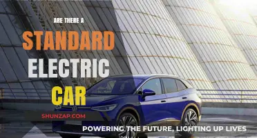 Exploring the Concept of Standard Electric Vehicles: Myth or Reality?