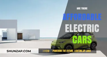 Affordable Electric Cars: Exploring Budget-Friendly EV Options for Everyone