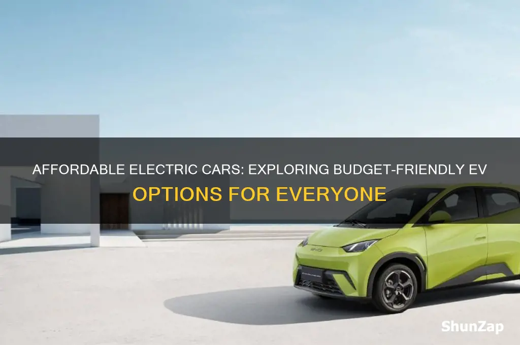 are there affordable electric cars