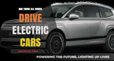 Exploring All-Wheel Drive Options in Today's Electric Car Market