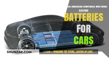 American Electric Car Battery Manufacturers: Who's Leading the Charge?