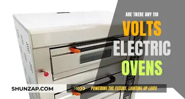 Electric Ovens: 110 Volts Options Available?
