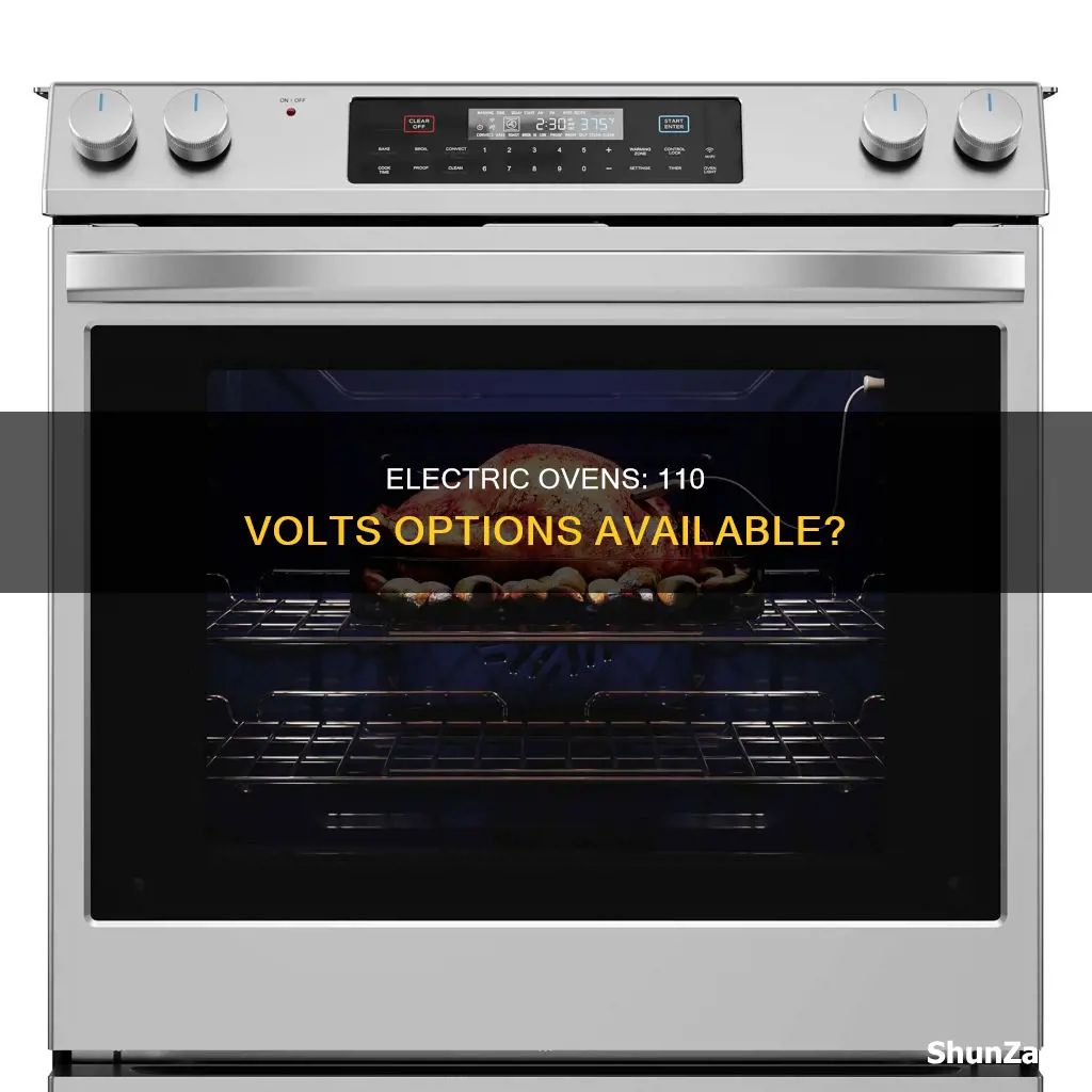 are there any 110 volts electric ovens