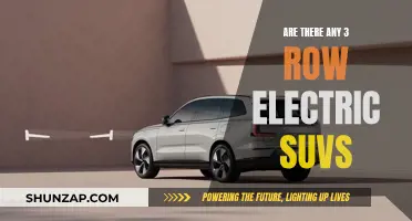 The Future of Family Travel: 3-Row Electric SUVs