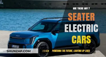 Exploring the Availability of 7-Seater Electric Vehicles in Today's Market