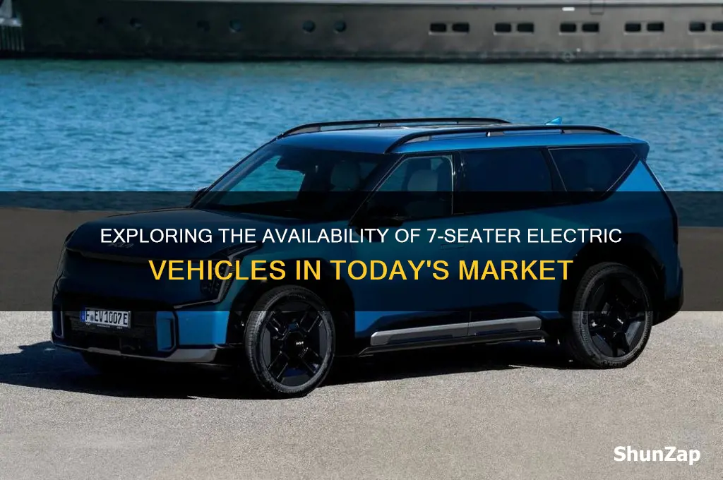 are there any 7 seater electric cars