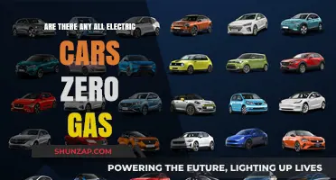 All-Electric Cars: Zero Gas, Zero Emissions, and Zero Compromises