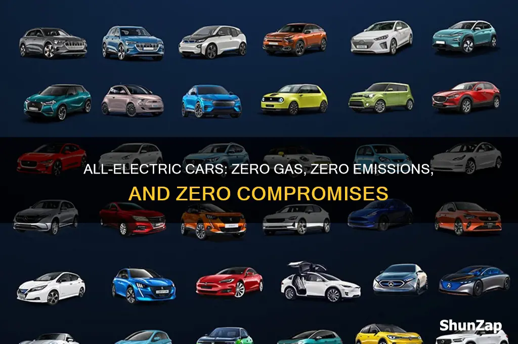 are there any all electric cars zero gas