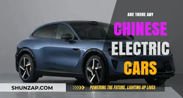 Exploring the Rise of Chinese Electric Cars in the Global Market