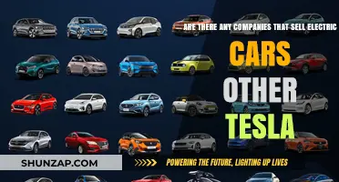 Beyond Tesla: Exploring Top Electric Car Companies and Models
