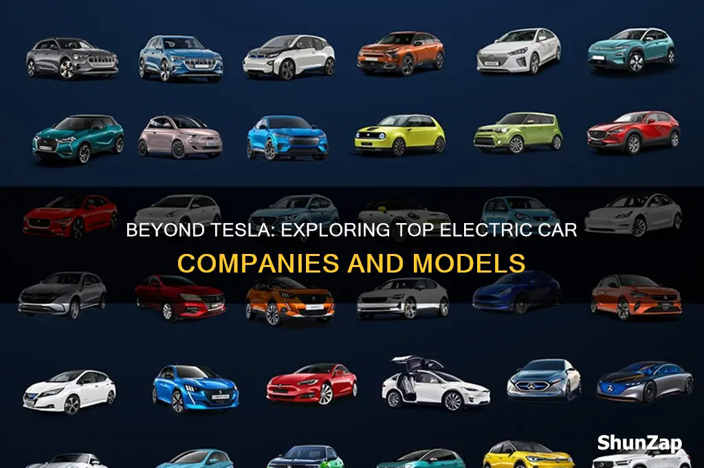 are there any companies that sell electric cars other tesla