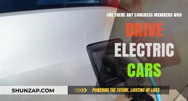 Do Congress Members Drive Electric Cars? Exploring Their Eco-Friendly Choices