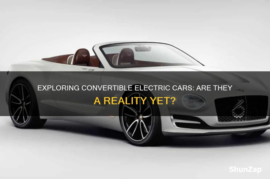 are there any convertible electric cars