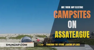 Camping on Assateague: Electric Sites and Their Availability