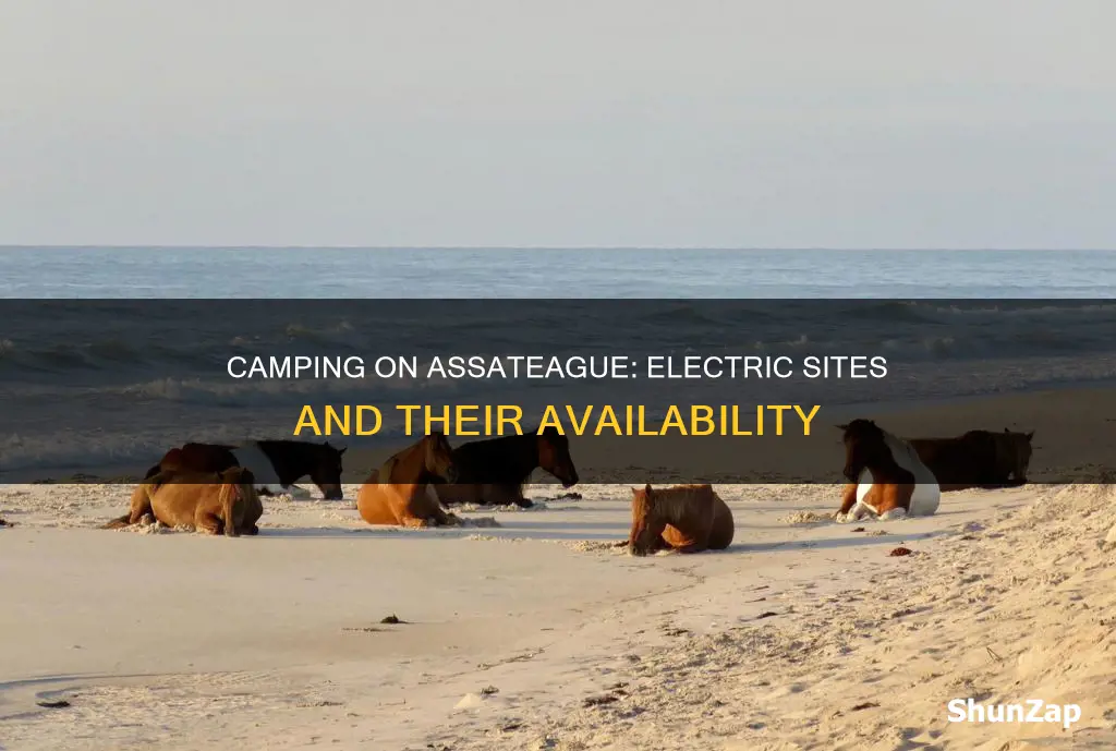are there any electric campsites on assateague