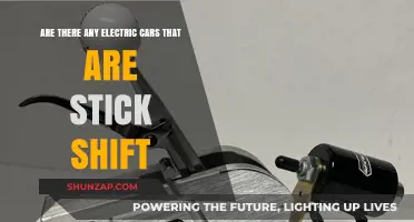 Electric Cars with Stick Shift: Myth or Reality?