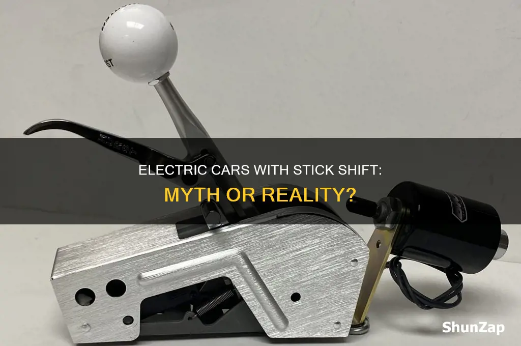 are there any electric cars that are stick shift