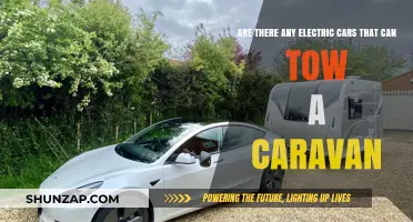 Electric Cars Towing Caravans: Which Models Can Handle the Load?