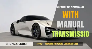 Electric Cars with Manual Transmissions: Myth or Reality?