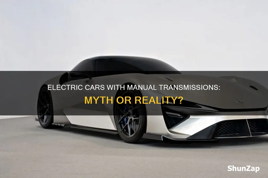 are there any electric cars with manual transmissions